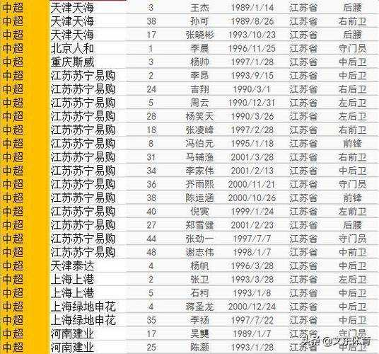 江苏足球队阵容一览-第1张图片-寰星运动网